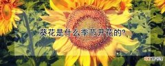 【季节】葵花的开花季节