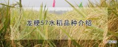 【品种】龙粳57水稻是什么品种