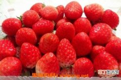 【营养】牛奶草莓的营养价值 吃牛奶草莓的好处