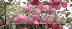 【品种】红心苹果品种介绍