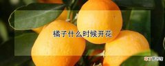 【月份】橘子几月份开花