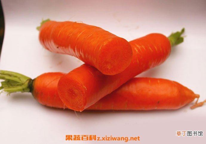 【功效】胡萝卜的功效与作用 胡萝卜有哪些营养价值