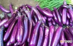 紫色的茄子都很常见，不过是炒着吃还是烤着吃，味道都很好