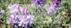 【紫花苜蓿】紫花苜蓿一亩地可以产几斤