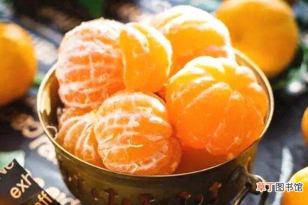 【白色】橘子里面白色的东西叫什么