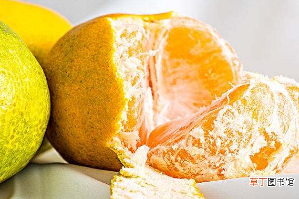 【白色】橘子里面白色的东西叫什么