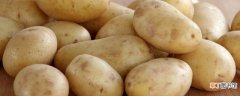 【土豆】土豆怎样掐苗剪枝