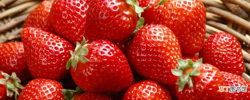 【吃】12月的草莓能吃吗