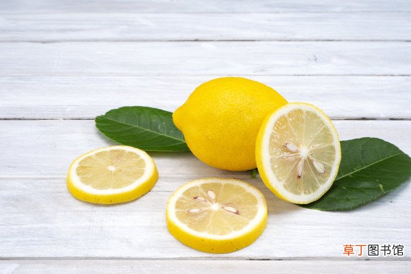 【种植】柠檬种植方法和注意