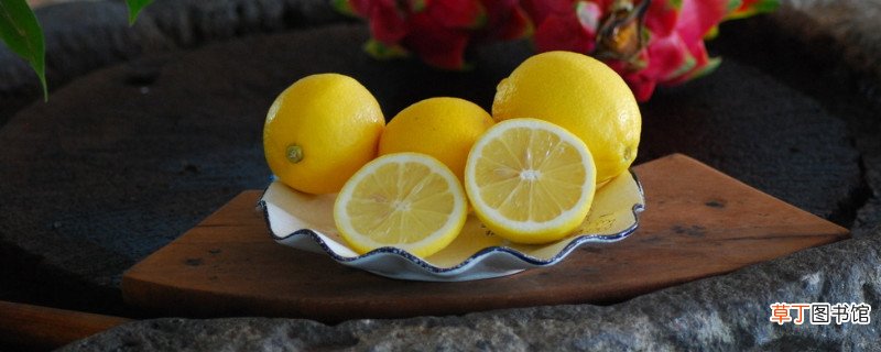 【柠檬】盆栽柠檬怎样过冬