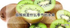 【桃】猕猴桃是什么季节的水果