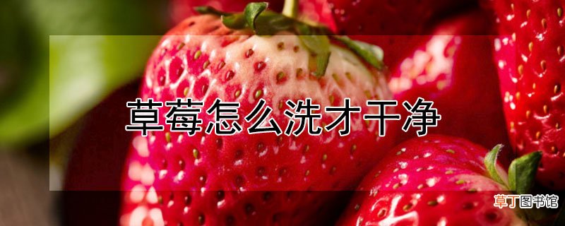 【草莓】草莓怎么洗才干净