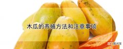 【养殖】木瓜的养殖方法和注意事项