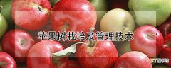 【苹果树】苹果树栽培及管理技术