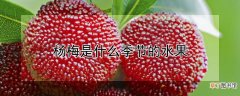 【季节】杨梅是什么季节的水果