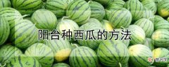 【西瓜】阳台种西瓜的方法