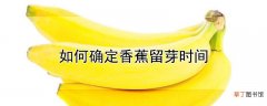 【香蕉】如何确定香蕉留芽时间