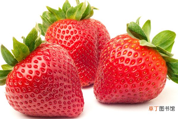 【种子】草莓上的斑点是种子吗