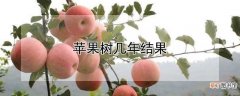 【多】苹果树多长时间结果