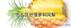 【凤梨】怎么区分菠萝和凤梨