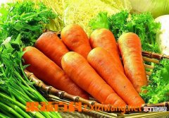 【吃】胡萝卜怎么吃最营养 胡萝卜的吃法技巧