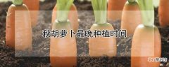 【种植】秋胡萝卜什么时候种植