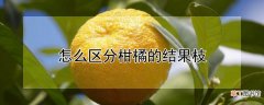 【结果】怎么区分柑橘的结果枝