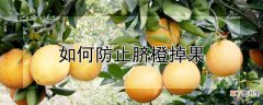 【橙】如何防止脐橙掉果