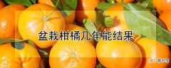 【结果】盆栽柑橘几年能结果