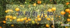 【花卉大全】芦柑有几种