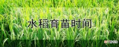 【育苗】水稻育苗时间