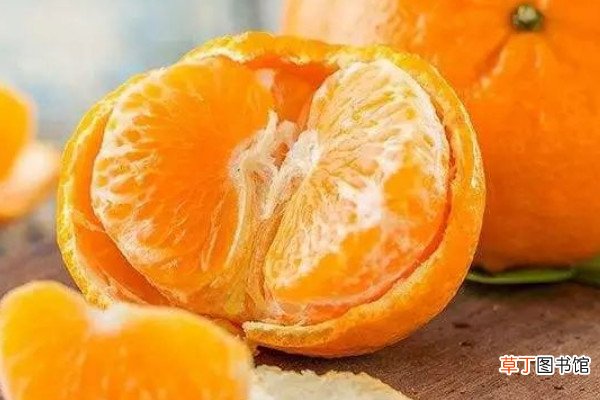 【区别】蜜柑和橘子有什么区别