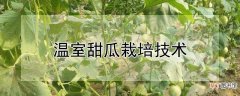 【栽培】温室甜瓜栽培技术