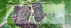 【树】台湾桑果树的种植方法