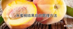 【桃】水蜜桃结果后的管理方法