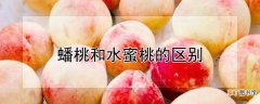 【桃】蟠桃和水蜜桃的区别