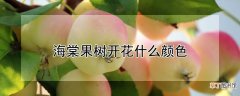 【海棠果】海棠果树开花什么颜色