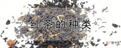 【茶】红茶的种类