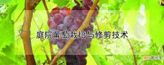 【栽培】庭院葡萄栽培与修剪技术