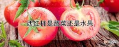 【蔬菜】西红柿是蔬菜还是水果