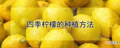 【种植】四季柠檬的种植方法