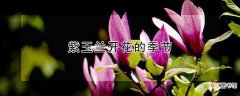 【季节】紫玉兰什么季节开花