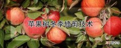【冬季】苹果树冬季如何修剪