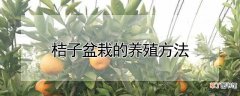 【盆栽】桔子盆栽的养殖方法