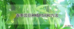 【方法】春季芸豆种植时间和方法