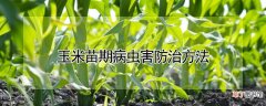 【病虫害】玉米苗期病虫害防治方法