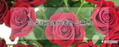 【红玫瑰】30朵红玫瑰有哪些含义
