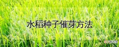【种子】水稻种子催芽方法