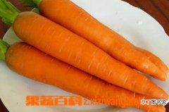 【吃】胡萝卜怎么吃好 胡萝卜的吃法