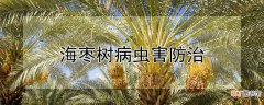 【树】海枣树病虫害防治
